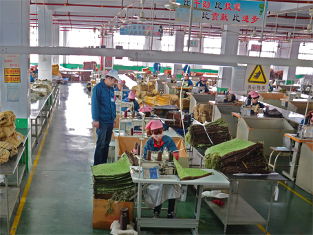 Manufacturing_Sewing